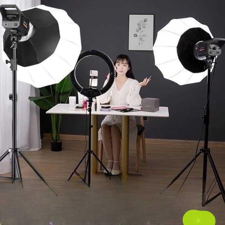 ADZOY 300W Sun Lamp Photography LED Video Light Remote Control for Live Streaming Photo Video Recording Daylight-Balanced (300W Sun Lamp LED Light+2.8 Meter Stand)