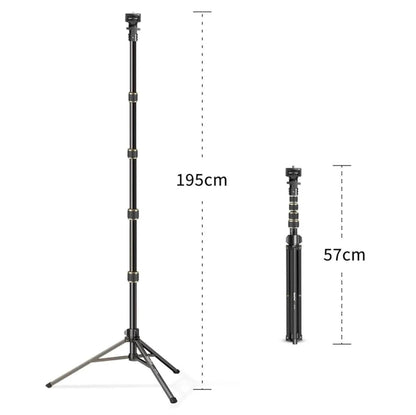 ADZOY 11 inch LED Panel Light with 7 Foot Adjustable Tripod Cum Selfie Stick (2 in 1) NP-688, Super clamp and Bluetooth Remote for Cell Phone, Baking, Calligraphy, Drawing, Online, Video Recording